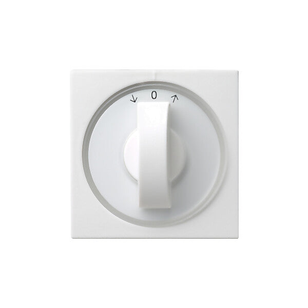 Gira Zentralplatte rws-gl m.Knebel f.Jalousies 066603